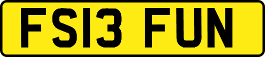 FS13FUN