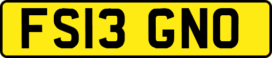 FS13GNO