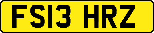 FS13HRZ
