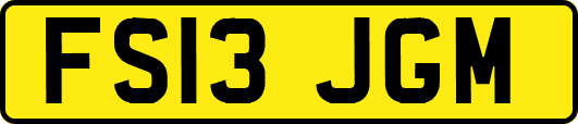 FS13JGM