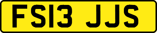 FS13JJS