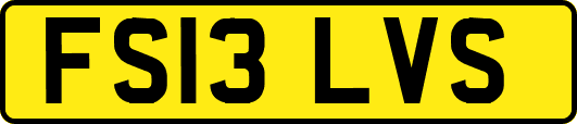 FS13LVS