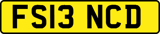 FS13NCD