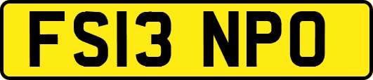 FS13NPO