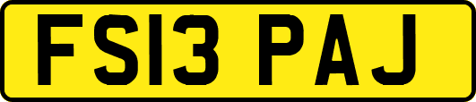 FS13PAJ
