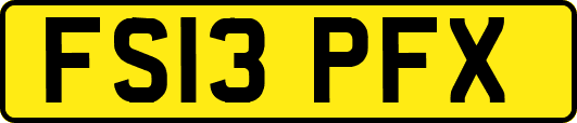 FS13PFX