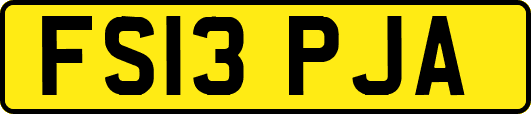 FS13PJA