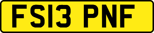 FS13PNF