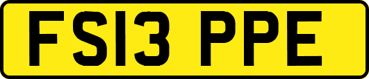 FS13PPE