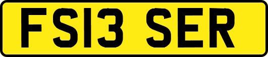 FS13SER