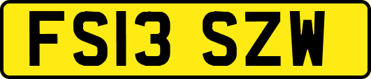 FS13SZW