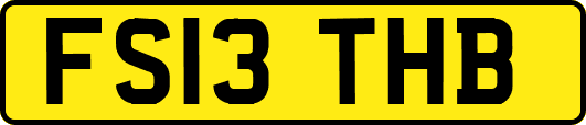 FS13THB