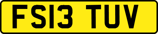 FS13TUV