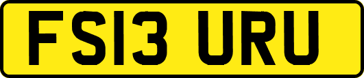 FS13URU