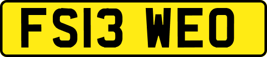 FS13WEO