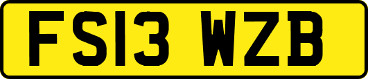 FS13WZB
