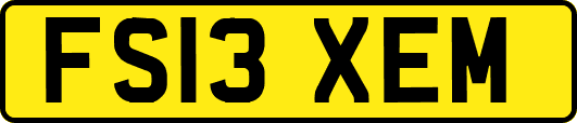 FS13XEM