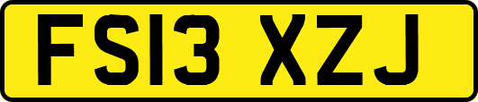 FS13XZJ
