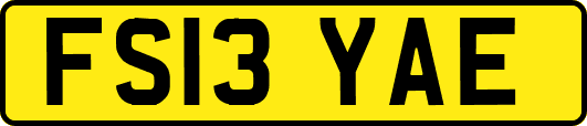 FS13YAE