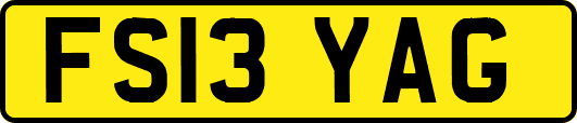 FS13YAG