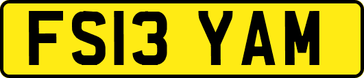 FS13YAM
