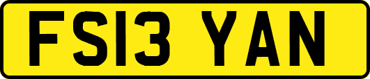 FS13YAN