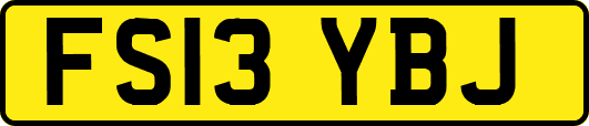 FS13YBJ