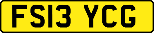 FS13YCG
