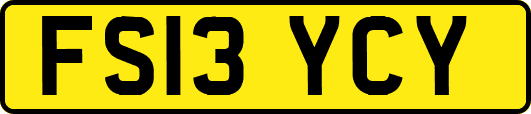 FS13YCY