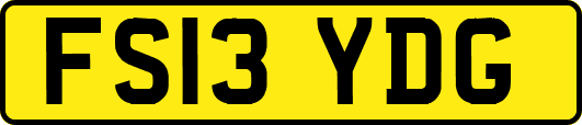 FS13YDG