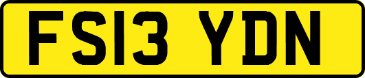 FS13YDN