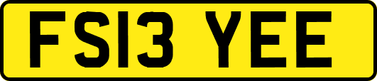 FS13YEE