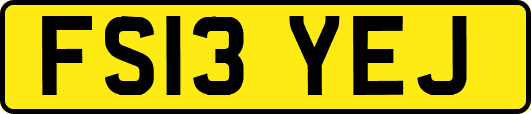 FS13YEJ