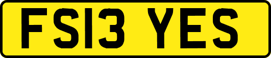 FS13YES