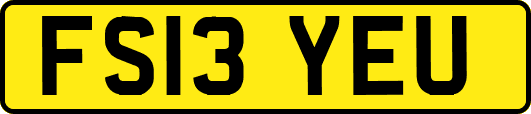 FS13YEU