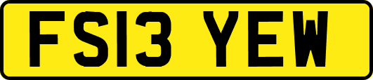 FS13YEW