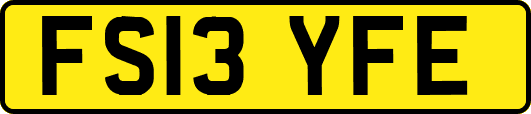 FS13YFE