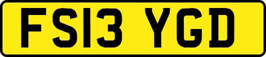 FS13YGD