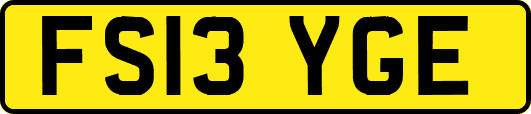 FS13YGE