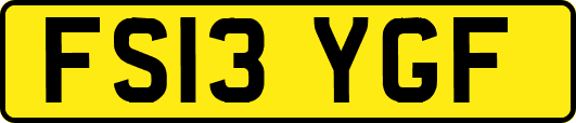 FS13YGF
