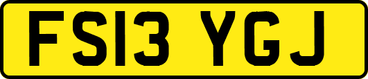 FS13YGJ