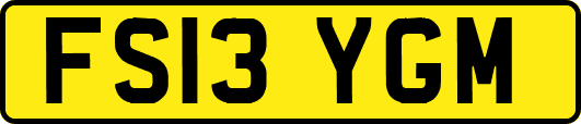 FS13YGM