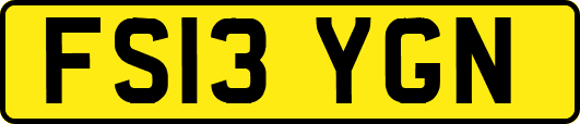 FS13YGN