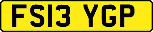 FS13YGP