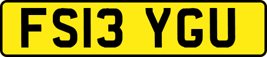 FS13YGU