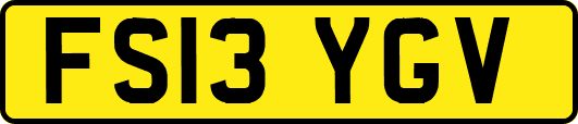 FS13YGV