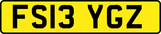 FS13YGZ