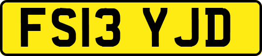 FS13YJD