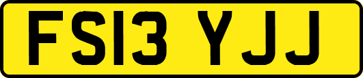 FS13YJJ