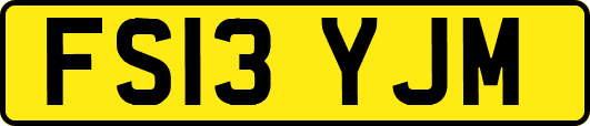 FS13YJM
